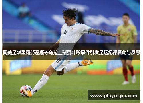 南美足联重罚努涅斯等乌拉圭球员斗殴事件引发足坛纪律震荡与反思